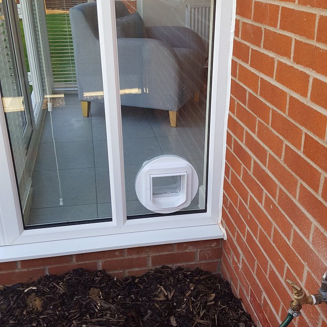 fitting a cat flap in a wall