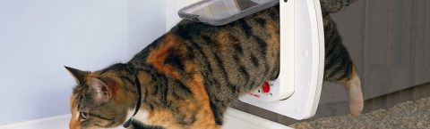 Oxfordshire Dog & Cat Flaps