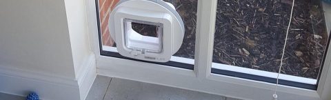Pet Flap Installers in Oxfordshire