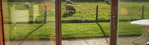 Glass Supplied & Fitted